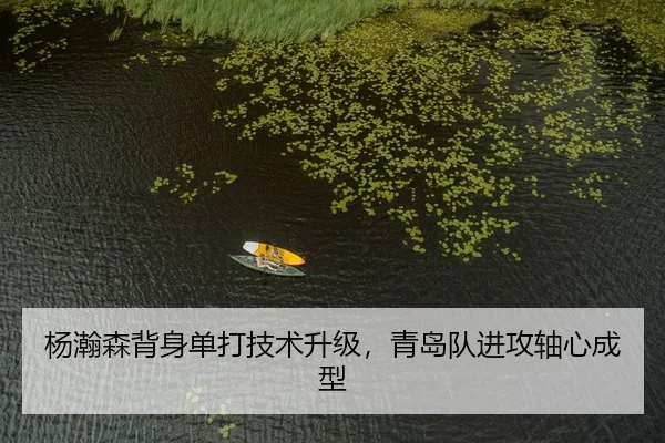 yang-han-sen-bei-shen-dan-da-ji-shu-sheng-ji-qing-dao-dui-jin-gong-zhou-xin-cheng-xing-2-657.jpg